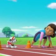 PAW Patrol - galeria zdjęć - filmweb