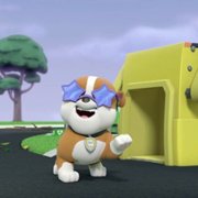 PAW Patrol - galeria zdjęć - filmweb