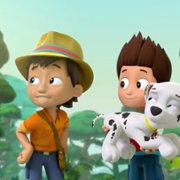 PAW Patrol - galeria zdjęć - filmweb