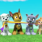 PAW Patrol - galeria zdjęć - filmweb