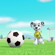 PAW Patrol - galeria zdjęć - filmweb