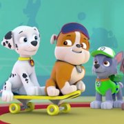 PAW Patrol - galeria zdjęć - filmweb