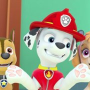 PAW Patrol - galeria zdjęć - filmweb