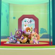 PAW Patrol - galeria zdjęć - filmweb