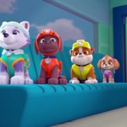 PAW Patrol - galeria zdjęć - filmweb