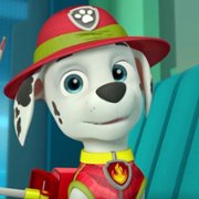 PAW Patrol - galeria zdjęć - filmweb