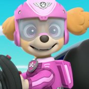 PAW Patrol - galeria zdjęć - filmweb