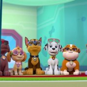PAW Patrol - galeria zdjęć - filmweb