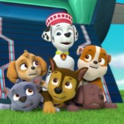 PAW Patrol - galeria zdjęć - filmweb