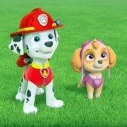 PAW Patrol - galeria zdjęć - filmweb