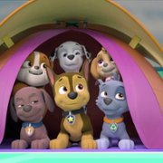 PAW Patrol - galeria zdjęć - filmweb