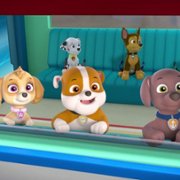 PAW Patrol - galeria zdjęć - filmweb