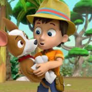 PAW Patrol - galeria zdjęć - filmweb