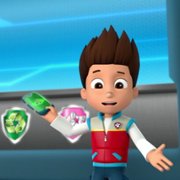 PAW Patrol - galeria zdjęć - filmweb