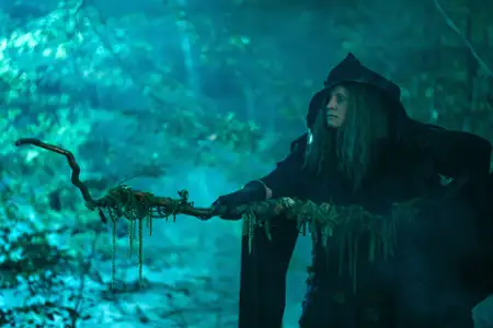 Robin i obrońcy królestwa - galeria zdjęć - filmweb