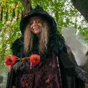 Robin and the Hoods - galeria zdjęć - filmweb