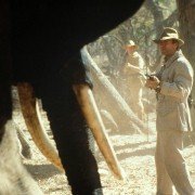 White Hunter, Black Heart - galeria zdjęć - filmweb