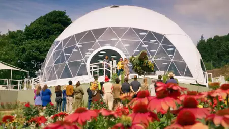 Wojna kwiatów - galeria zdjęć - filmweb