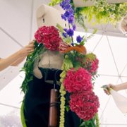 Wojna kwiatów - galeria zdjęć - filmweb