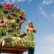 Wojna kwiatów - galeria zdjęć - filmweb