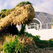 Wojna kwiatów - galeria zdjęć - filmweb