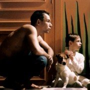 Pozory i złudzenia - galeria zdjęć - filmweb