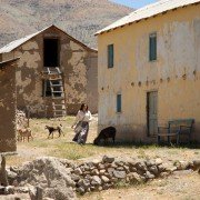 Violeta se fue a los cielos - galeria zdjęć - filmweb