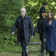 Damien - galeria zdjęć - filmweb