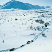 Ostatni traper - galeria zdjęć - filmweb