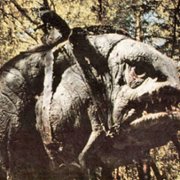 Ewoks: The Battle of Endor - galeria zdjęć - filmweb
