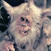 Ewoks: The Battle of Endor - galeria zdjęć - filmweb