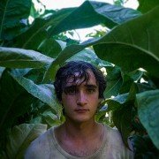 Lazzaro Felice - galeria zdjęć - filmweb