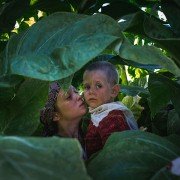 Lazzaro Felice - galeria zdjęć - filmweb