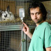 Mamas & Papas - galeria zdjęć - filmweb