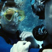 Mamas & Papas - galeria zdjęć - filmweb