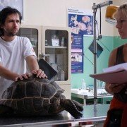Mamas & Papas - galeria zdjęć - filmweb