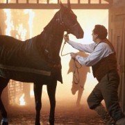 Black Beauty - galeria zdjęć - filmweb