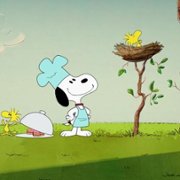 Snoopy i jego Show - galeria zdjęć - filmweb