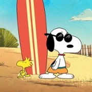 The Snoopy Show - galeria zdjęć - filmweb