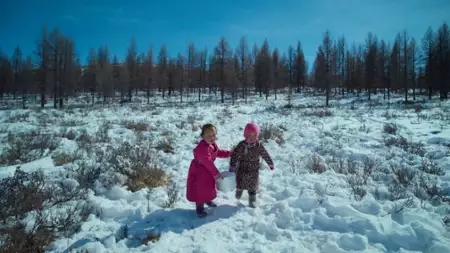 Twoja ewolucja - galeria zdjęć - filmweb