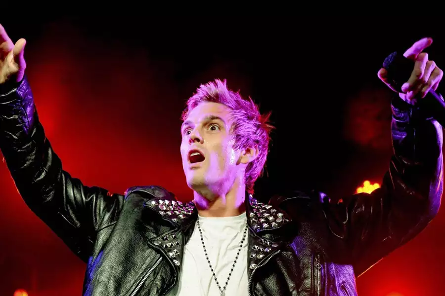 Upadli idole: Nick i Aaron Carter - galeria zdjęć - filmweb