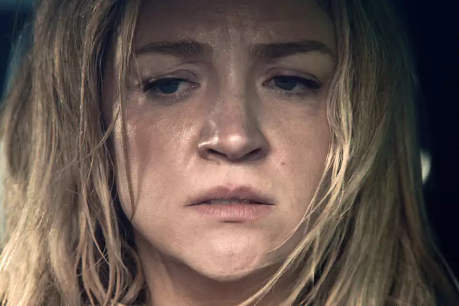 The Bear - galeria zdjęć - filmweb