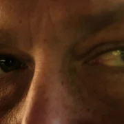 The Bear - galeria zdjęć - filmweb
