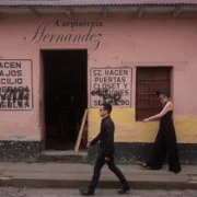 No pasado, no futuro, solo verbos - galeria zdjęć - filmweb