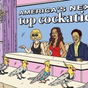 Ugly Americans - galeria zdjęć - filmweb