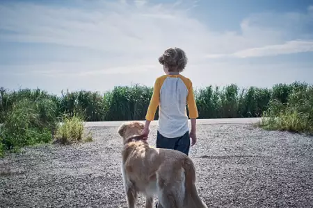 W wysokiej trawie - galeria zdjęć - filmweb
