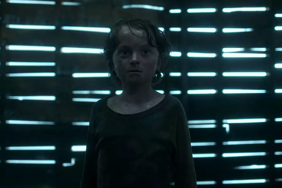 W wysokiej trawie - galeria zdjęć - filmweb