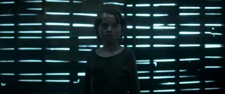 W wysokiej trawie - galeria zdjęć - filmweb