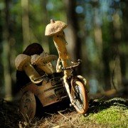 Kuky se vrací - galeria zdjęć - filmweb