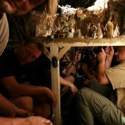 Kuky se vrací - galeria zdjęć - filmweb